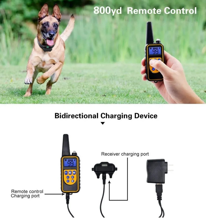 800m Electric Dog Training Collar Waterproof