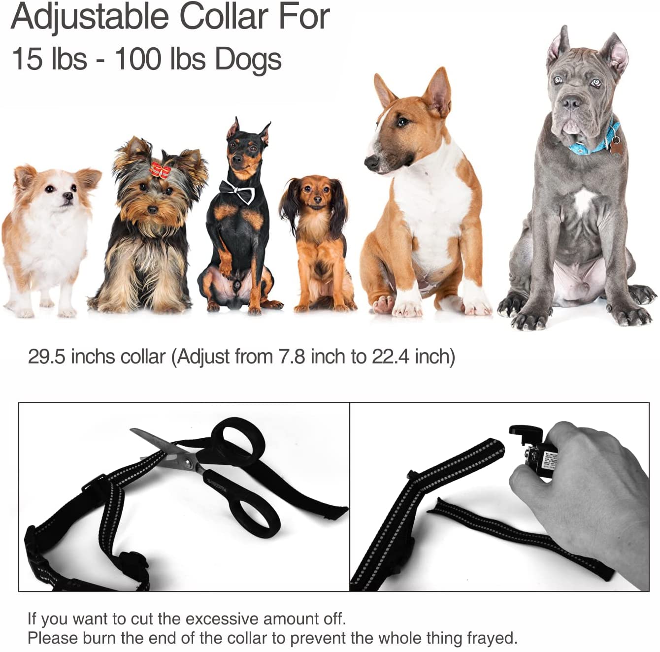 Training Collar With Automatic Anti-Bark and 3 Training Modes