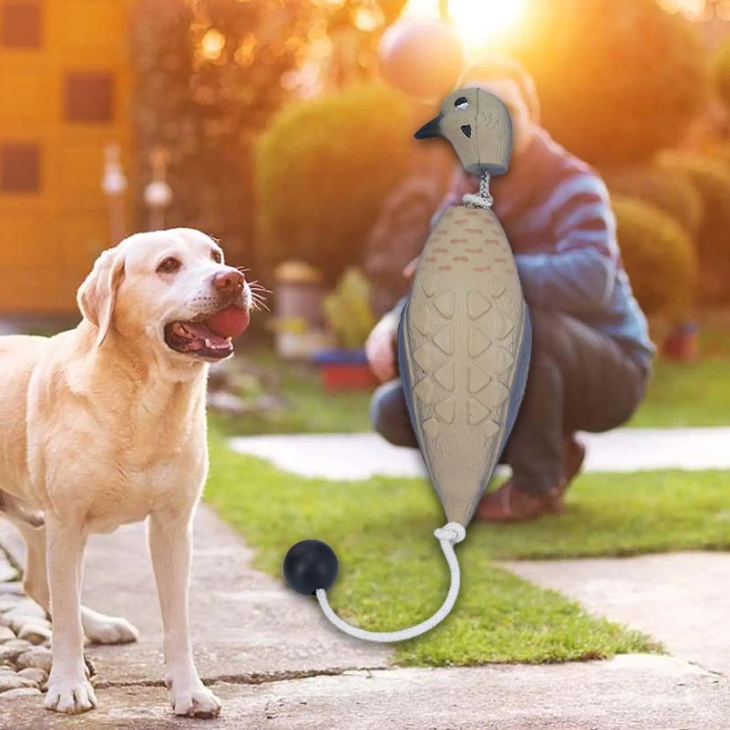 Dove Decoy Bumper for Dog Training