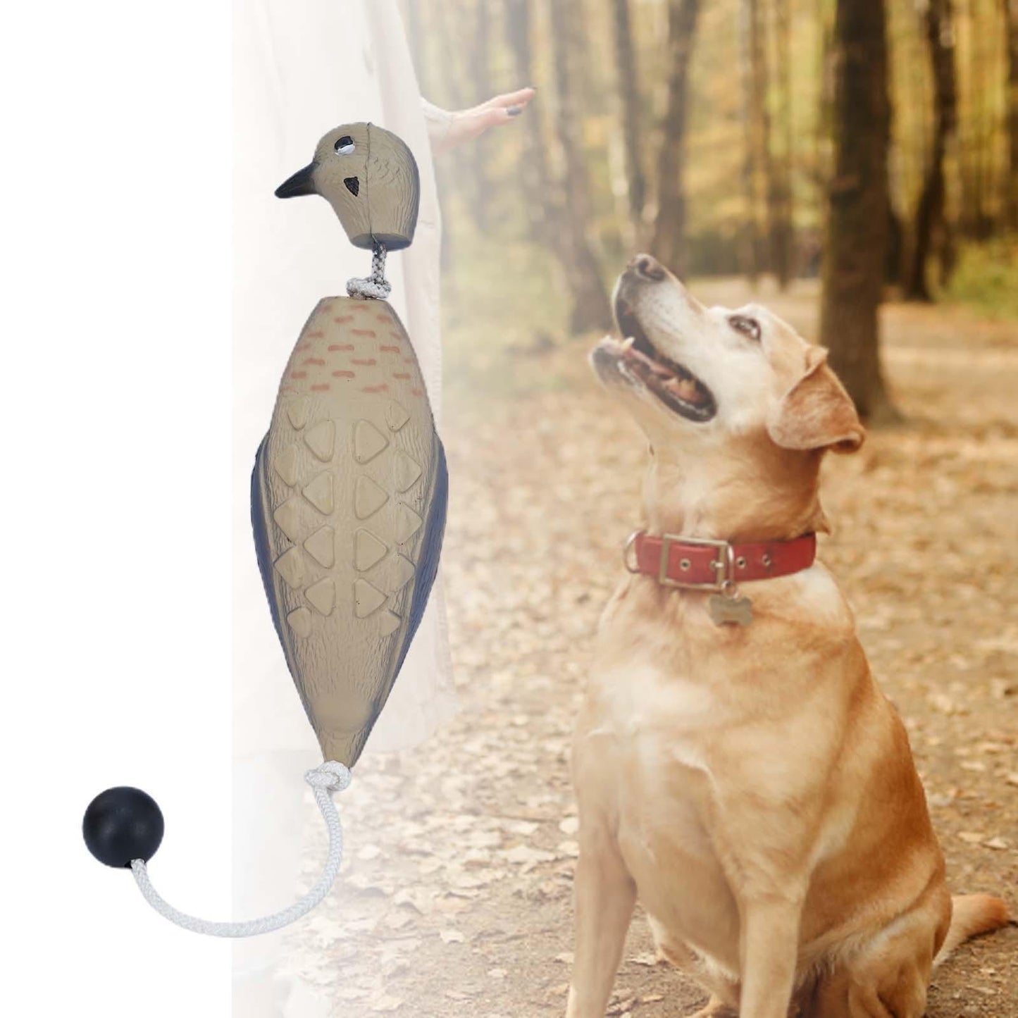 Dove Decoy Bumper for Dog Training